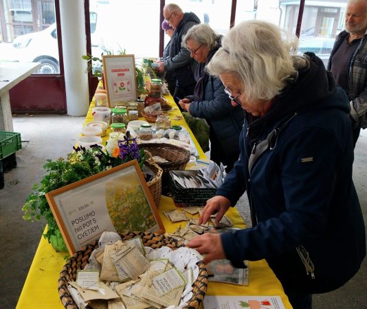 555546078_24791013770521105_1935810530922761016_n