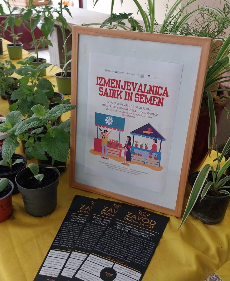 555563054_24793039643651851_1270236446165083850_n